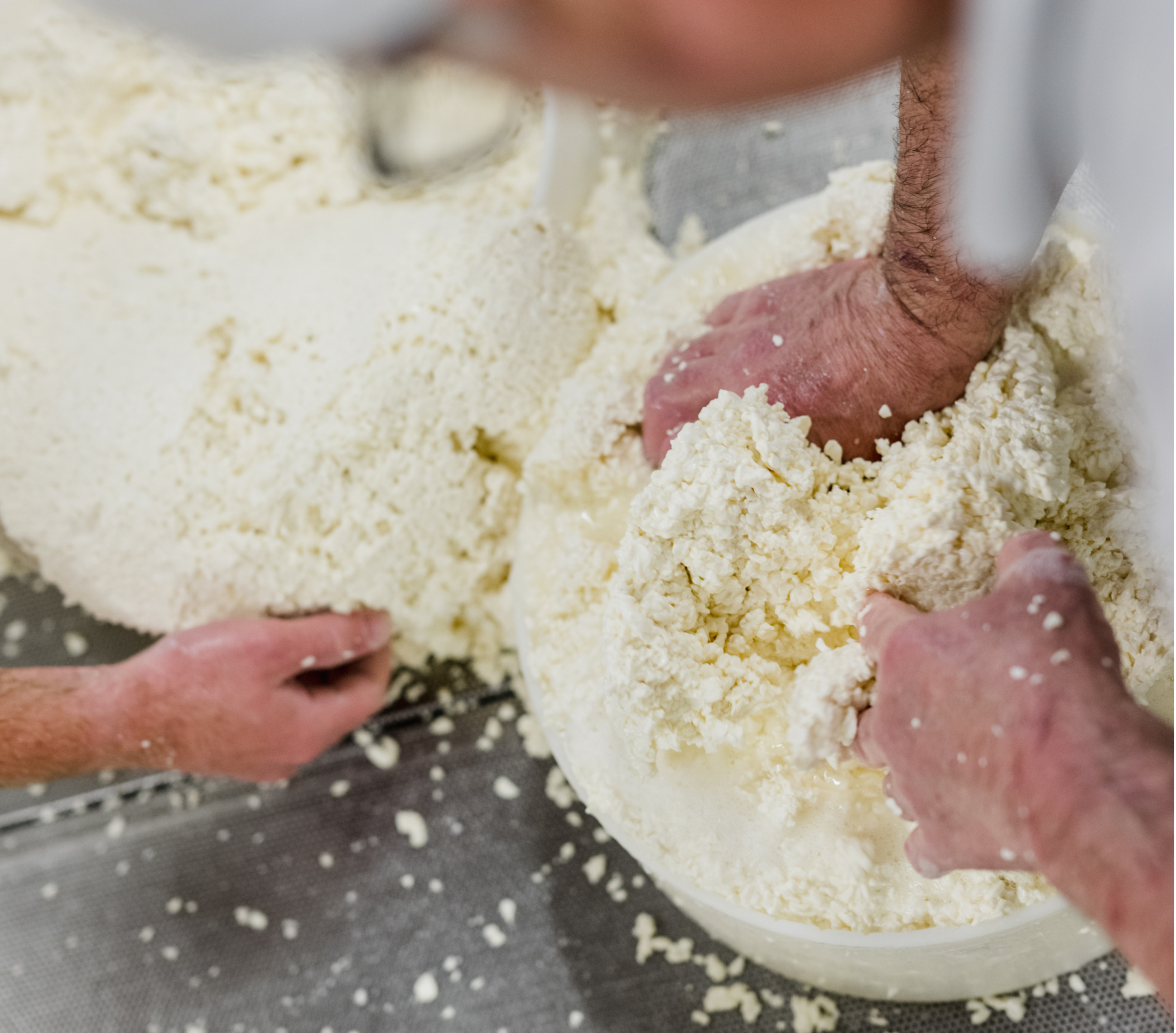 CAGLIATA FORMAGGIO NOSTRANO STAGIONATO TRENTINO