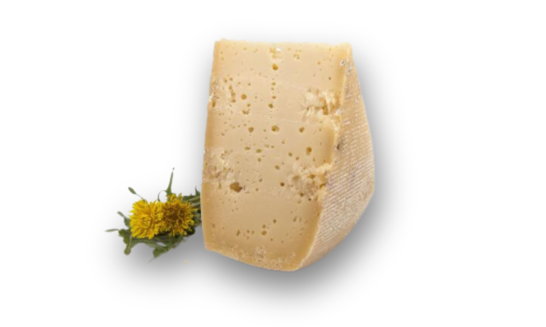 NOSTRANO LATTE DI MALGA FORMAGGIO TRENTINO