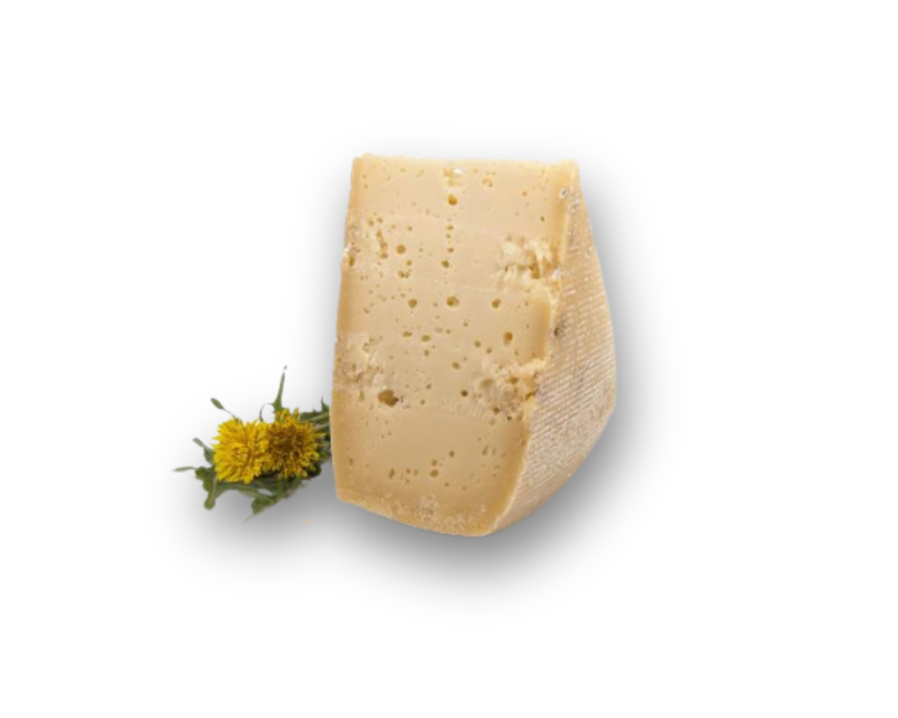 NOSTRANO LATTE DI MALGA FORMAGGIO TRENTINO